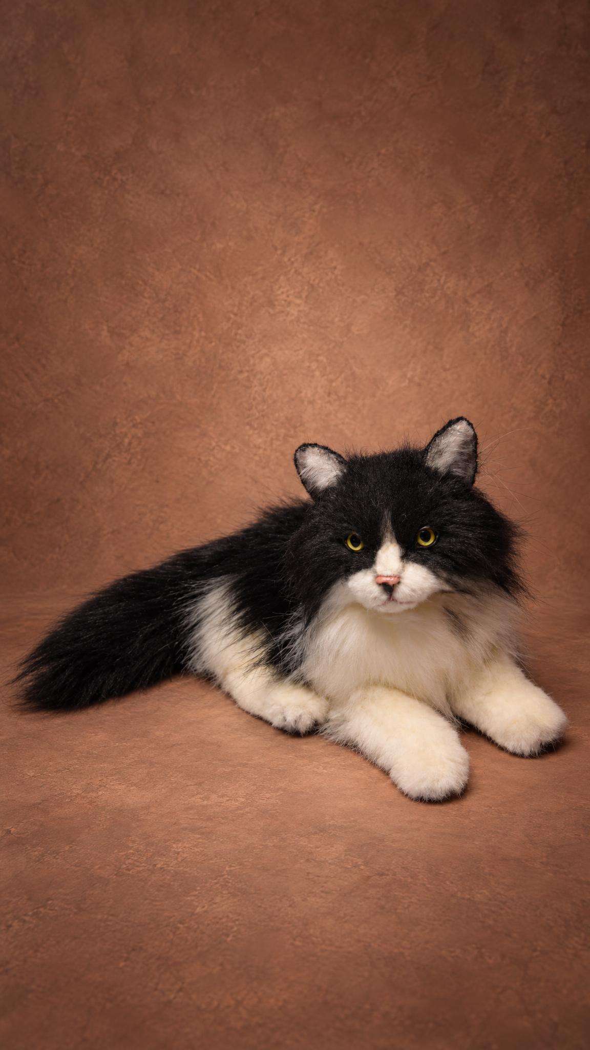 Realistic tuxedo cat stuffed animal lying stretched out, handmade to order from the owner's photos
