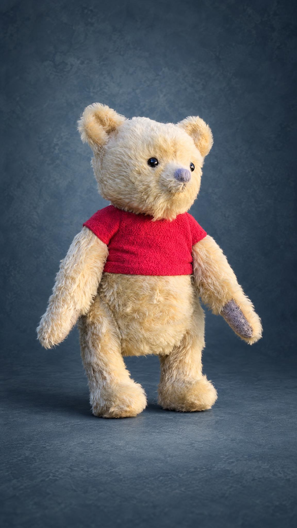 Custom Christopher Robin Winnie the Pooh plush, mohair bear in a red shirt, made to order
