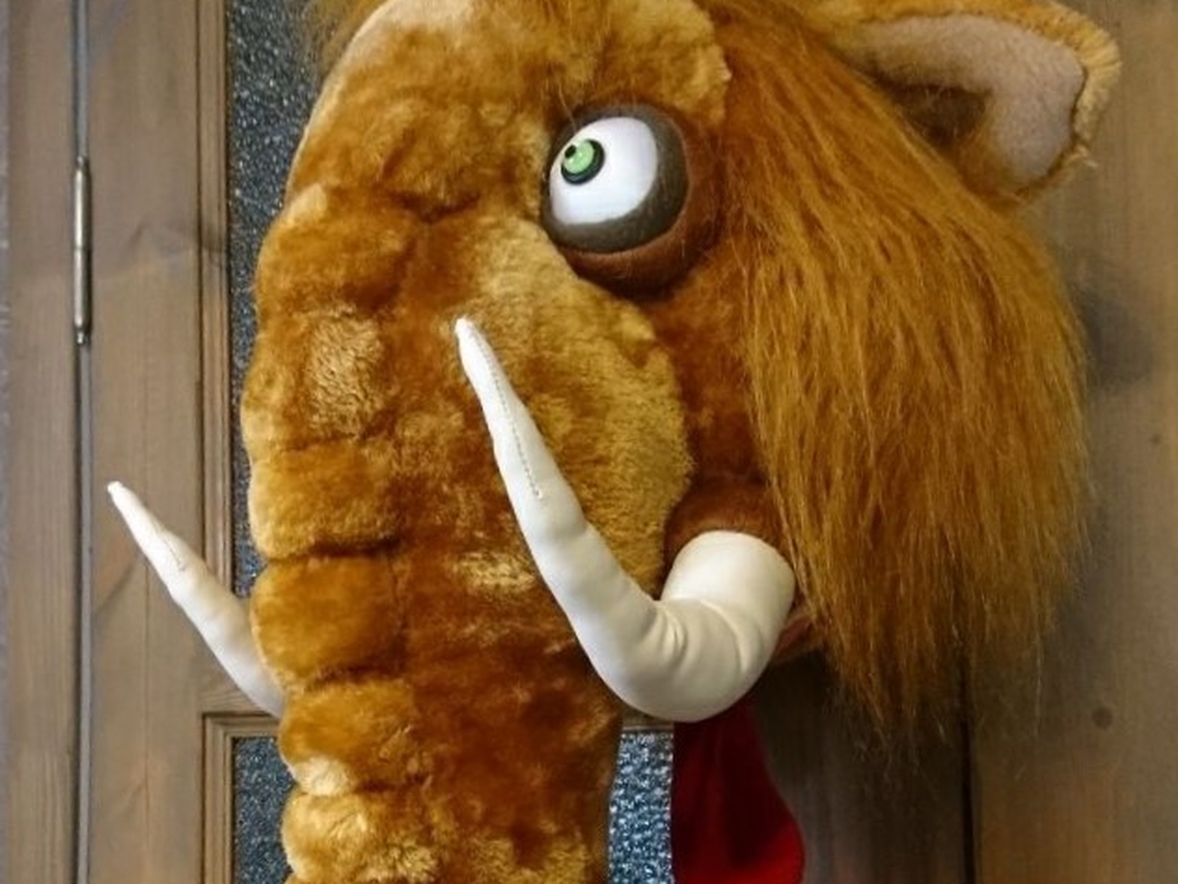 Woolly mammoth head wall mount, custom plush Custom woolly mammoth head wall mount in plush, handmade to order, hanging on a wooden door, googly eye