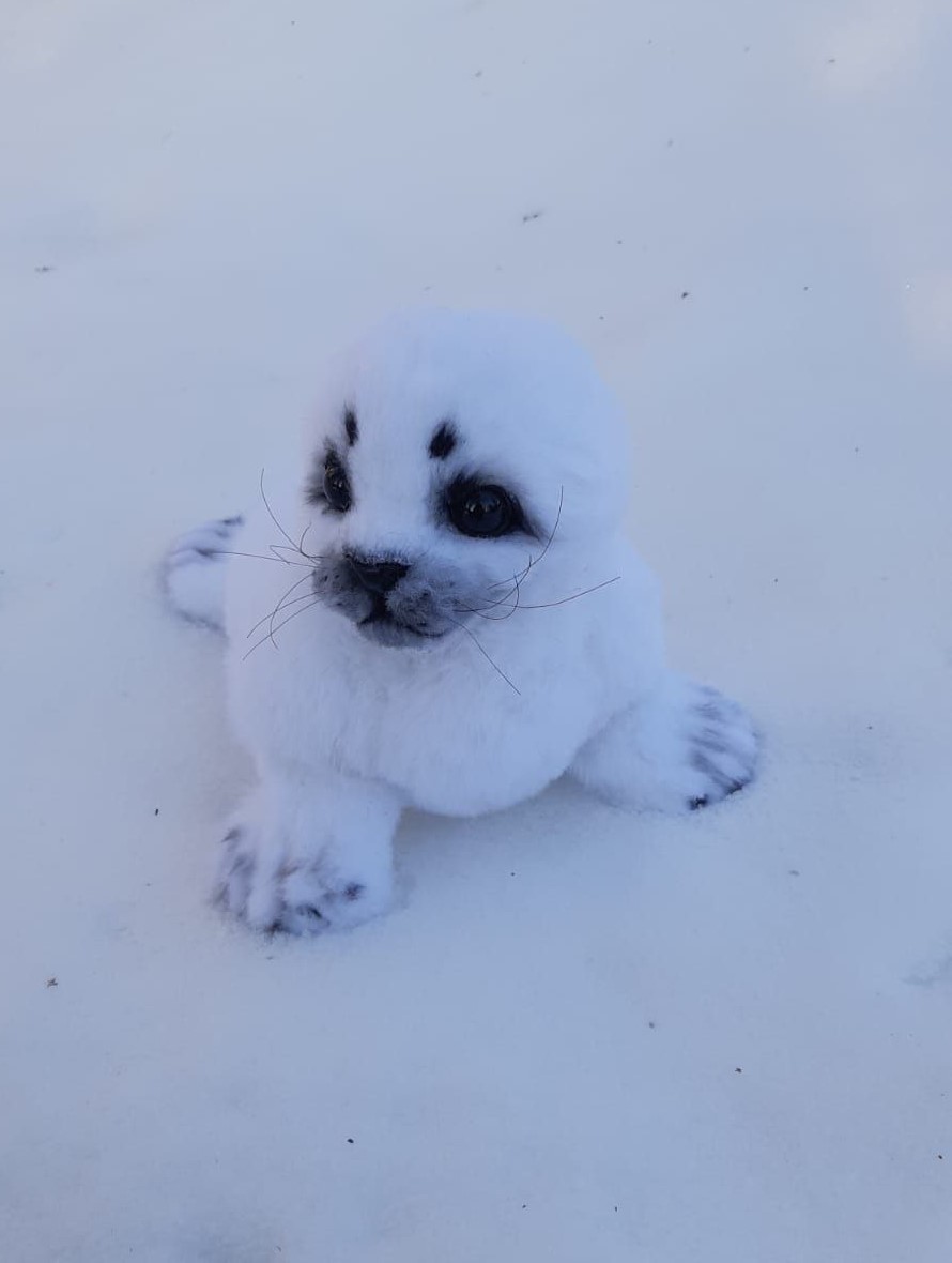Baby seal plush in the snow White baby seal plush sitting in real snow, faux fur pup with whiskers and spotted flippers, custom made