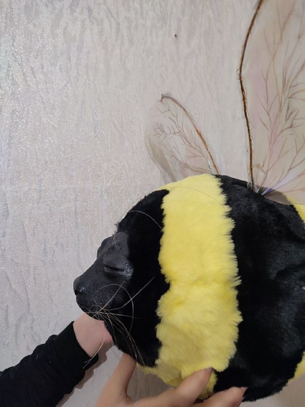Bee seal meme plush, sewn by hand to order Custom bee seal plush made to order: sleepy black seal face, thin whiskers, yellow and black faux fur stripes