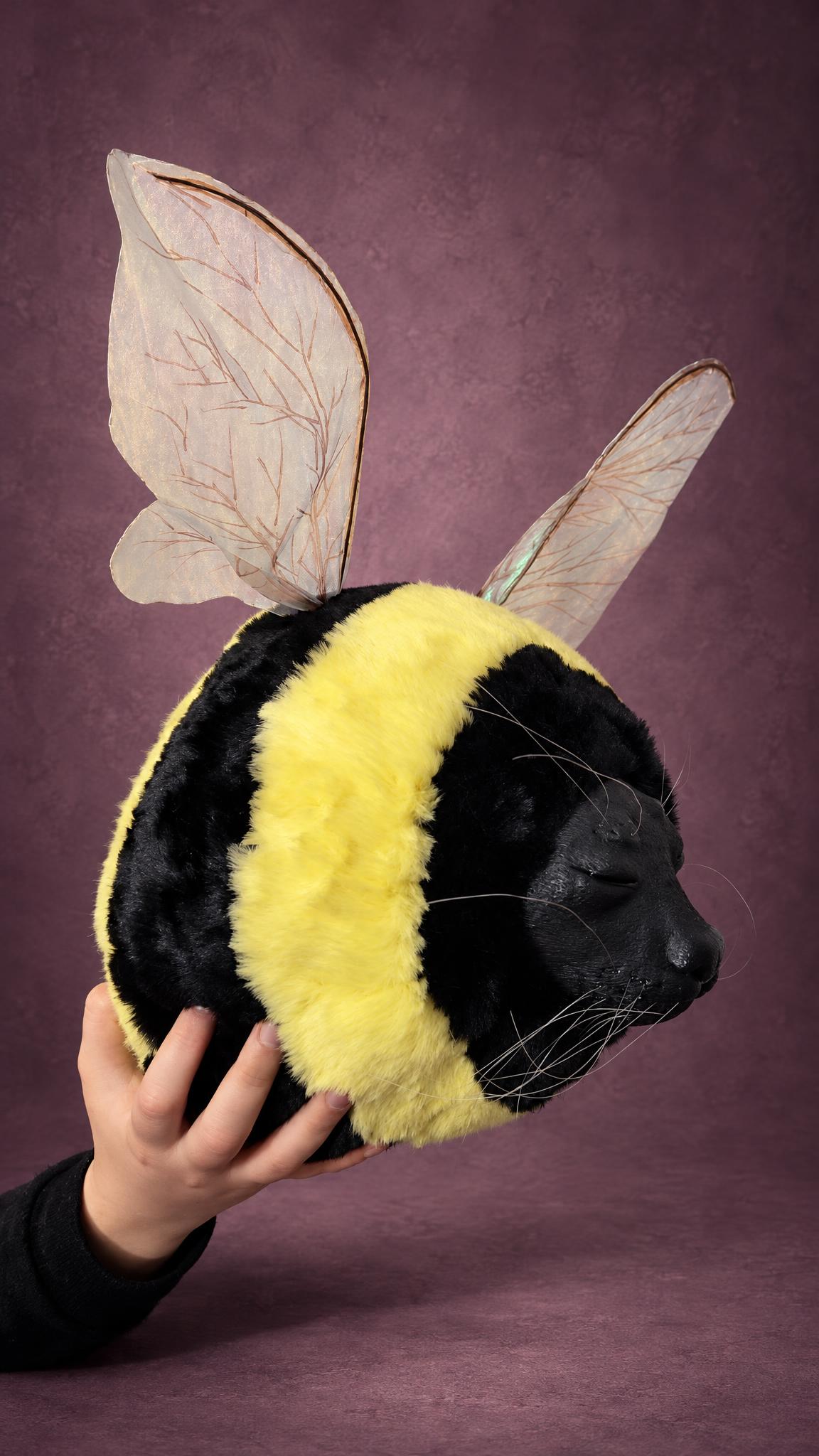 Handmade bee seal meme plush, made to order: sleepy seal face, long whiskers, bumblebee stripes, veined wings