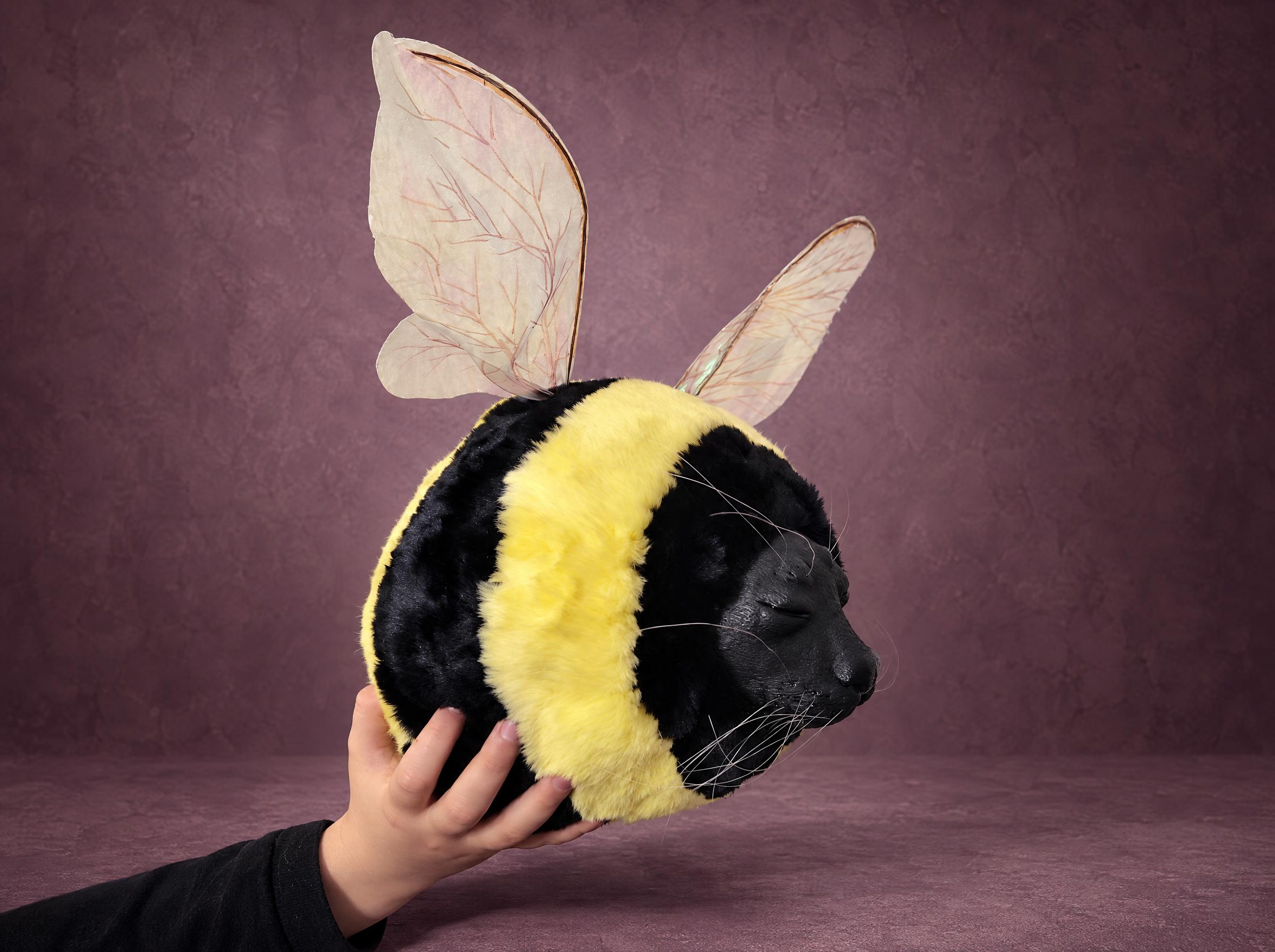 Bee seal plush handmade to order from the meme: round black and yellow faux fur body, seal face, clear wings