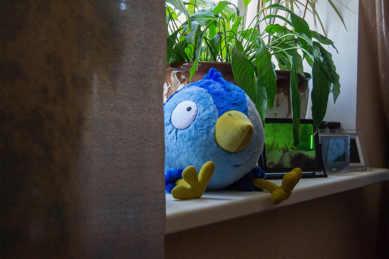 Blue bird plush behind a curtain Blue bird plush peeking out from behind a curtain, a handmade prototype of an artist's character