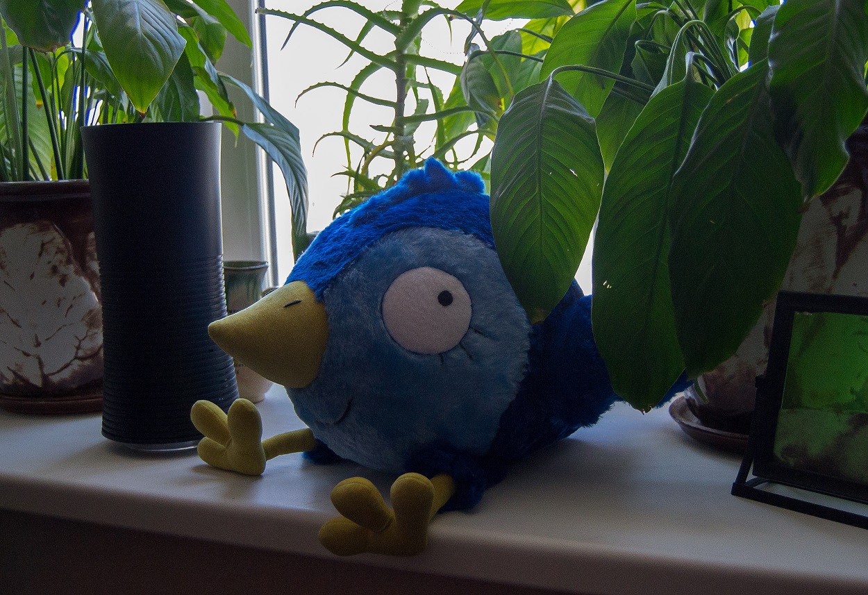 Bluebird of happiness plush on a windowsill Bluebird of happiness plush resting on a windowsill among plants, a custom blue bird toy sewn to order