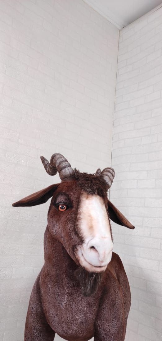 Brown goat plush face Brown goat plush face with floppy ears, a cream blaze and a dark beard, sewn by hand to order