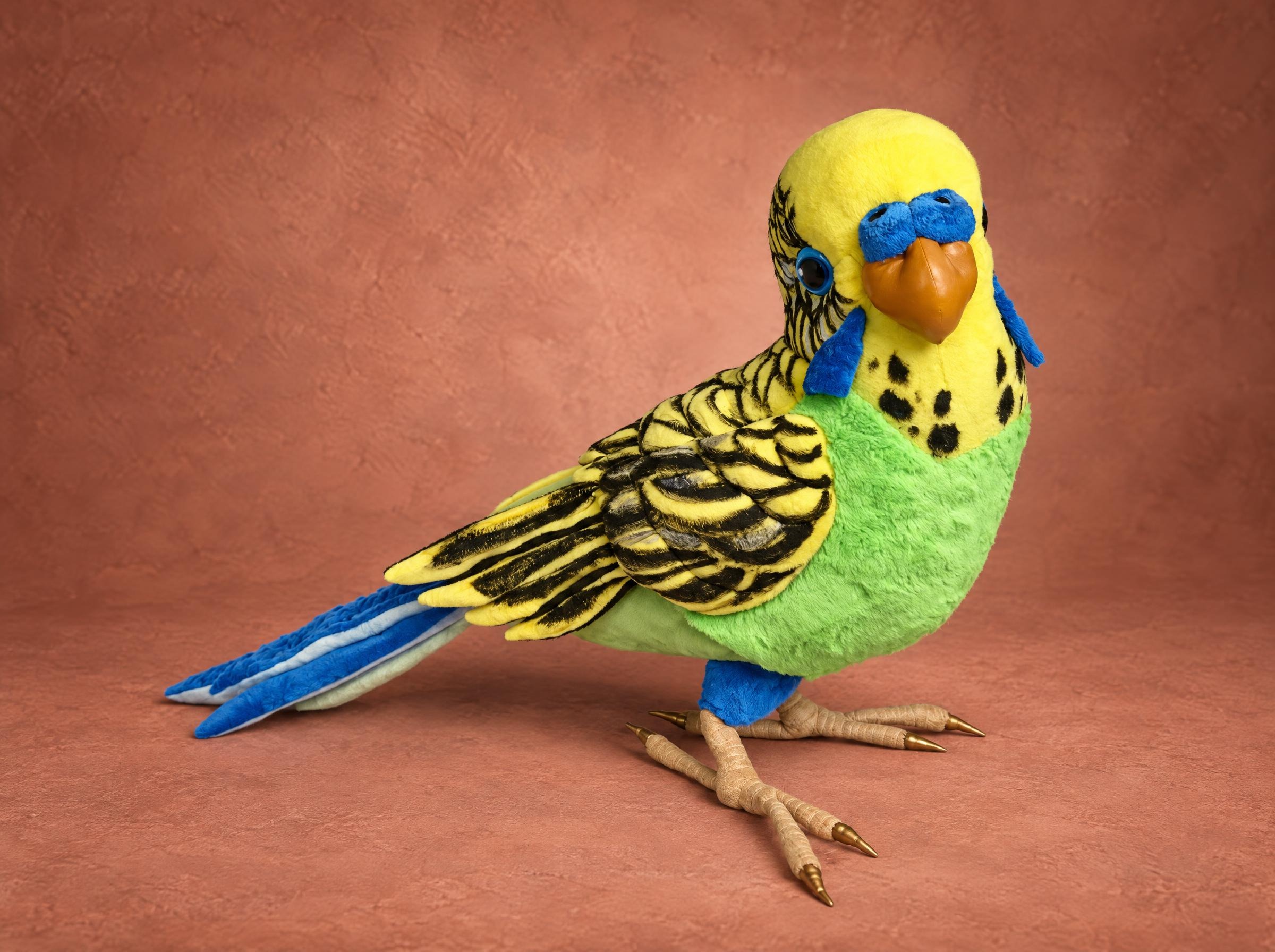 Realistic budgie plush Realistic budgie plush with a yellow head, green faux fur belly, blue tail and drawn-on stripes, made to order