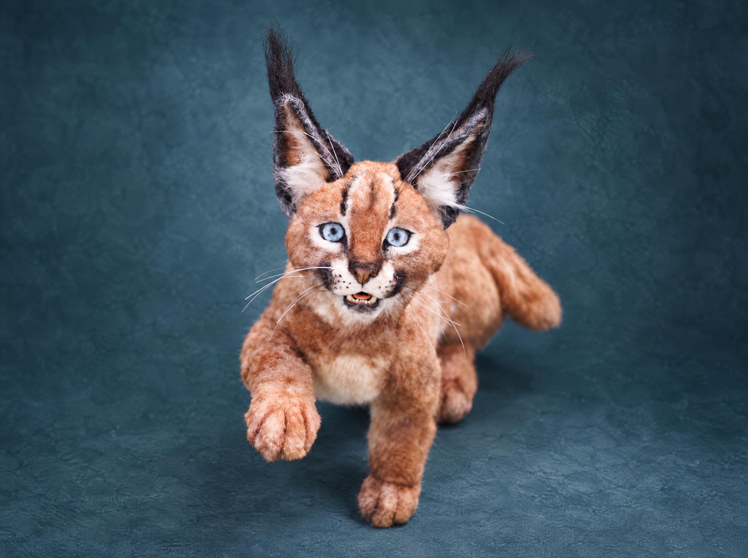 Realistic caracal plush kitten with long black ear tufts and blue eyes, handmade to order from a photo