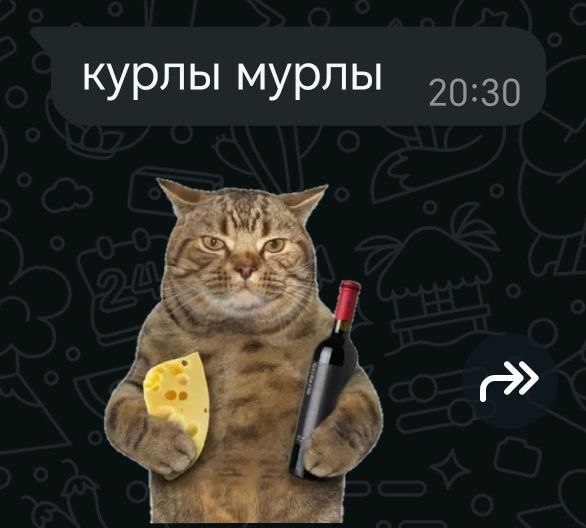 Cat sticker, the reference for the plush The customer's chat sticker the cat meme plush was made from: a tabby cat holding cheese and a wine bottle