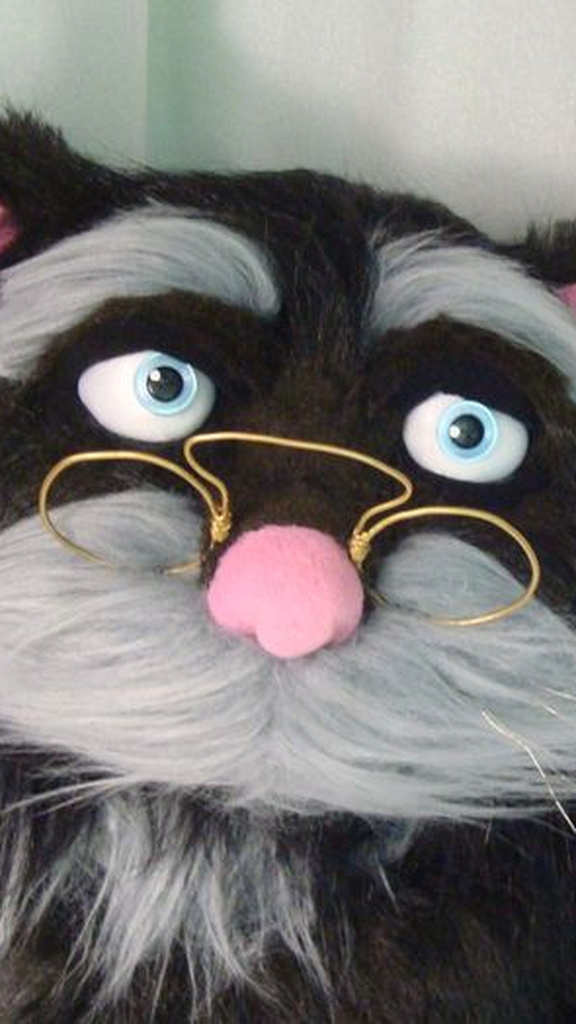 Cat with glasses plush: blue eyes, grey brows and beard, gold wire glasses, a learned cat sewn to order
