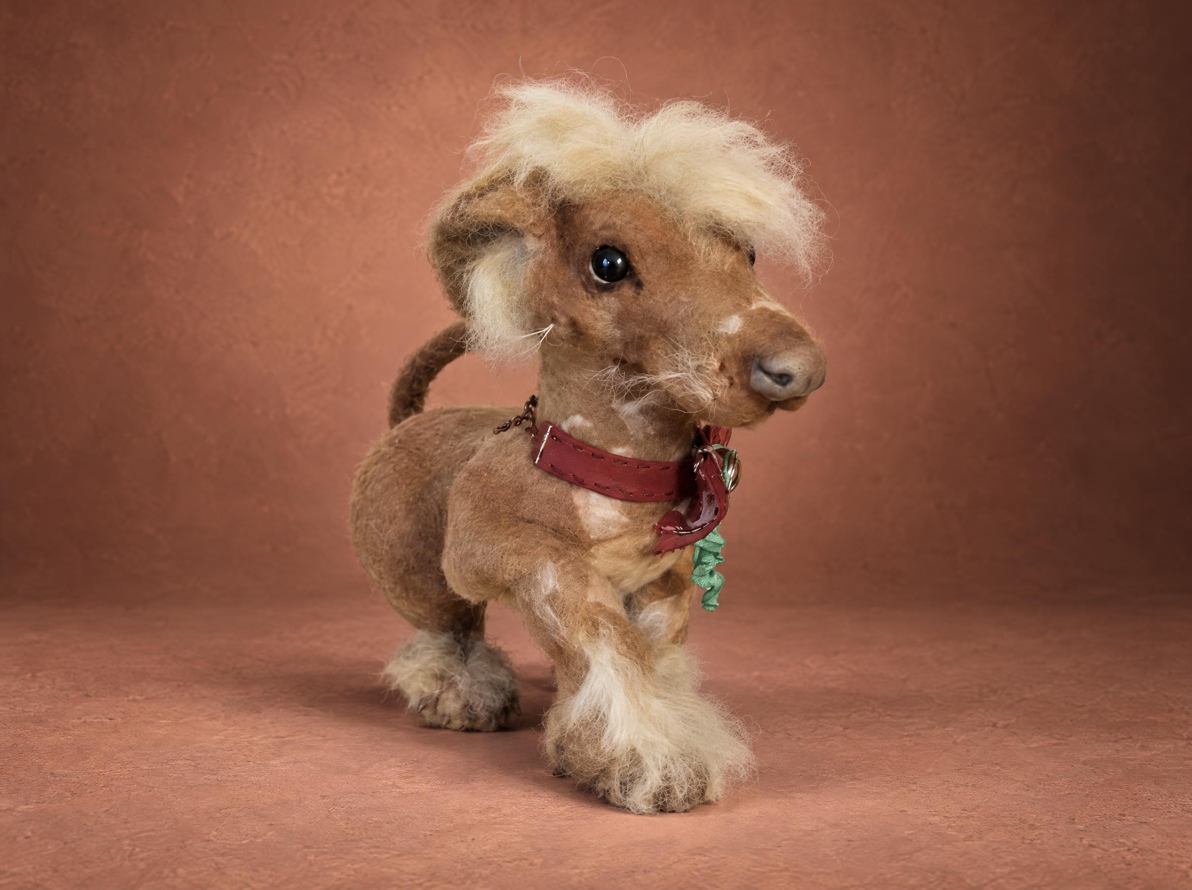 Custom Chinese crested plush made to order from photos of a real dog: blond crest, fluffy socks, red collar