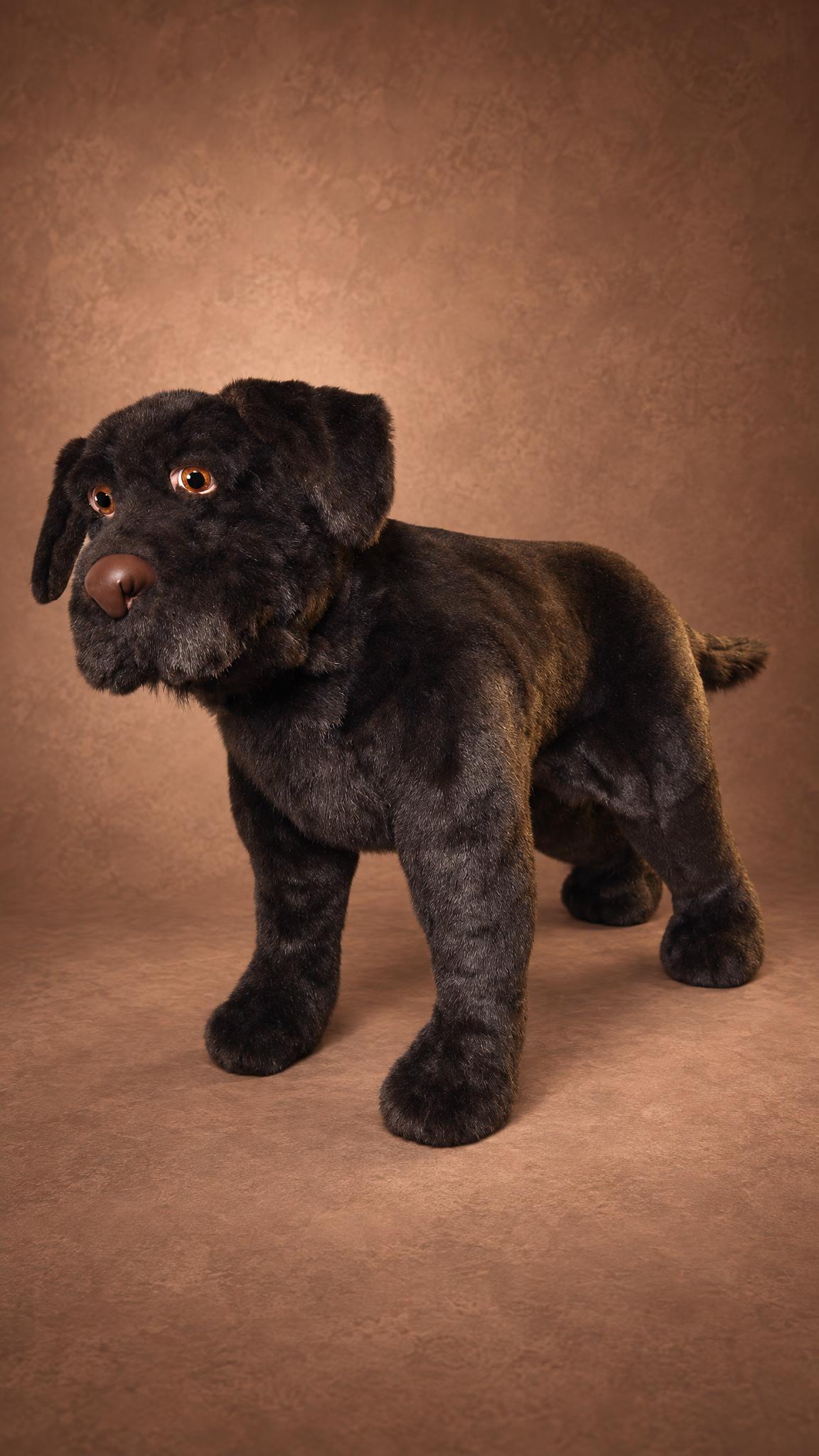Custom chocolate Labrador plush made to order, a life-size stuffed dog with a brown nose and soft jowls