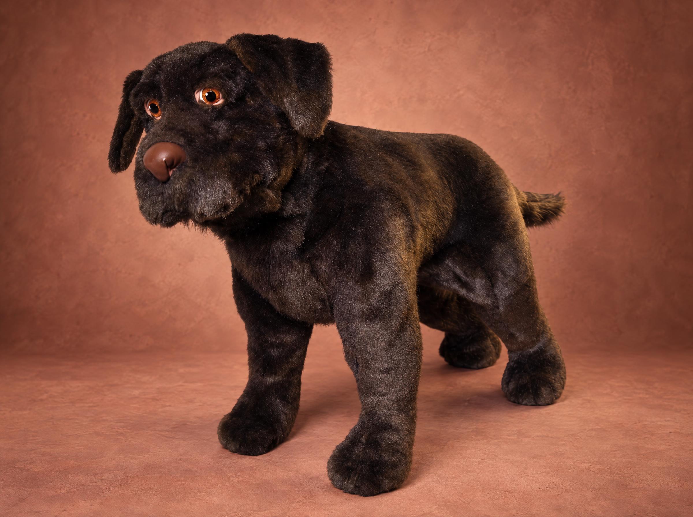 Life-size chocolate lab plush, made to order Life-size chocolate lab plush, handmade to order: brown faux fur, amber glass eyes, floppy ears, standing