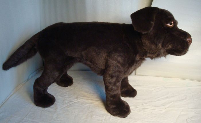 Chocolate Labrador stuffed dog with an otter tail Chocolate labrador stuffed dog sewn to order, life-size, with a thick tail and deep chest in brown faux fur
