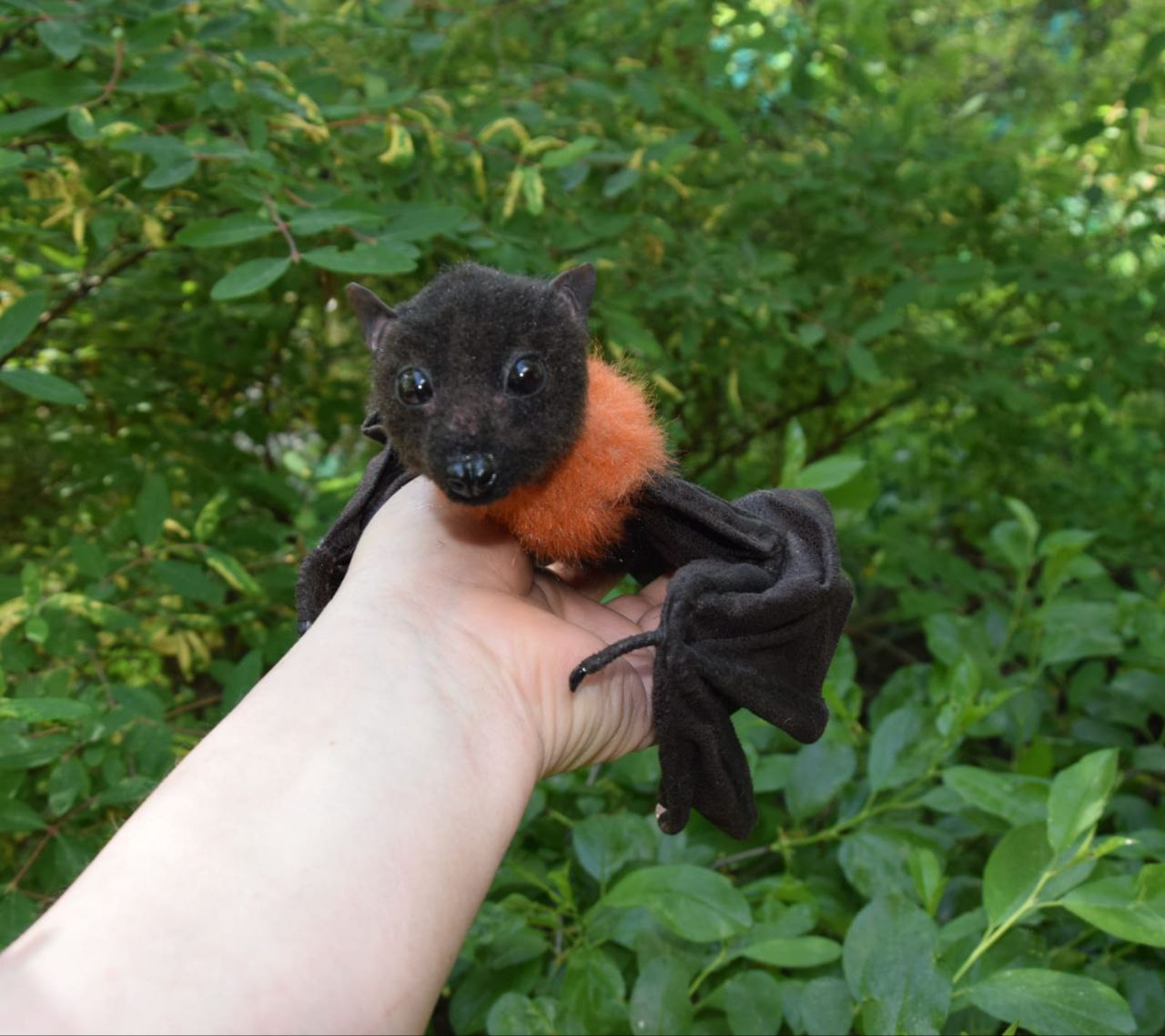 Custom bat plush, fruit bat face Custom bat plush with glossy black eyes, a fox-like snout and orange collar, realistic fruit bat made to order
