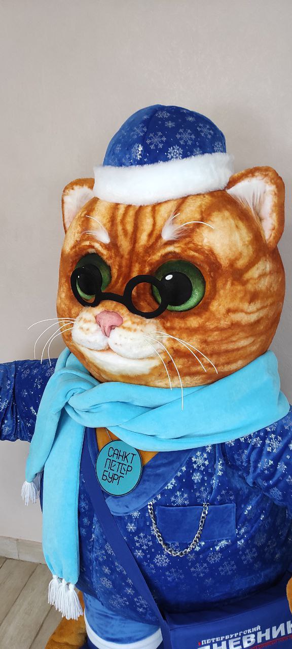 Custom cat mascot plush in glasses and scarf Custom cat mascot plush in glasses, a blue hat with white faux fur trim and a light-blue scarf, sewn to order