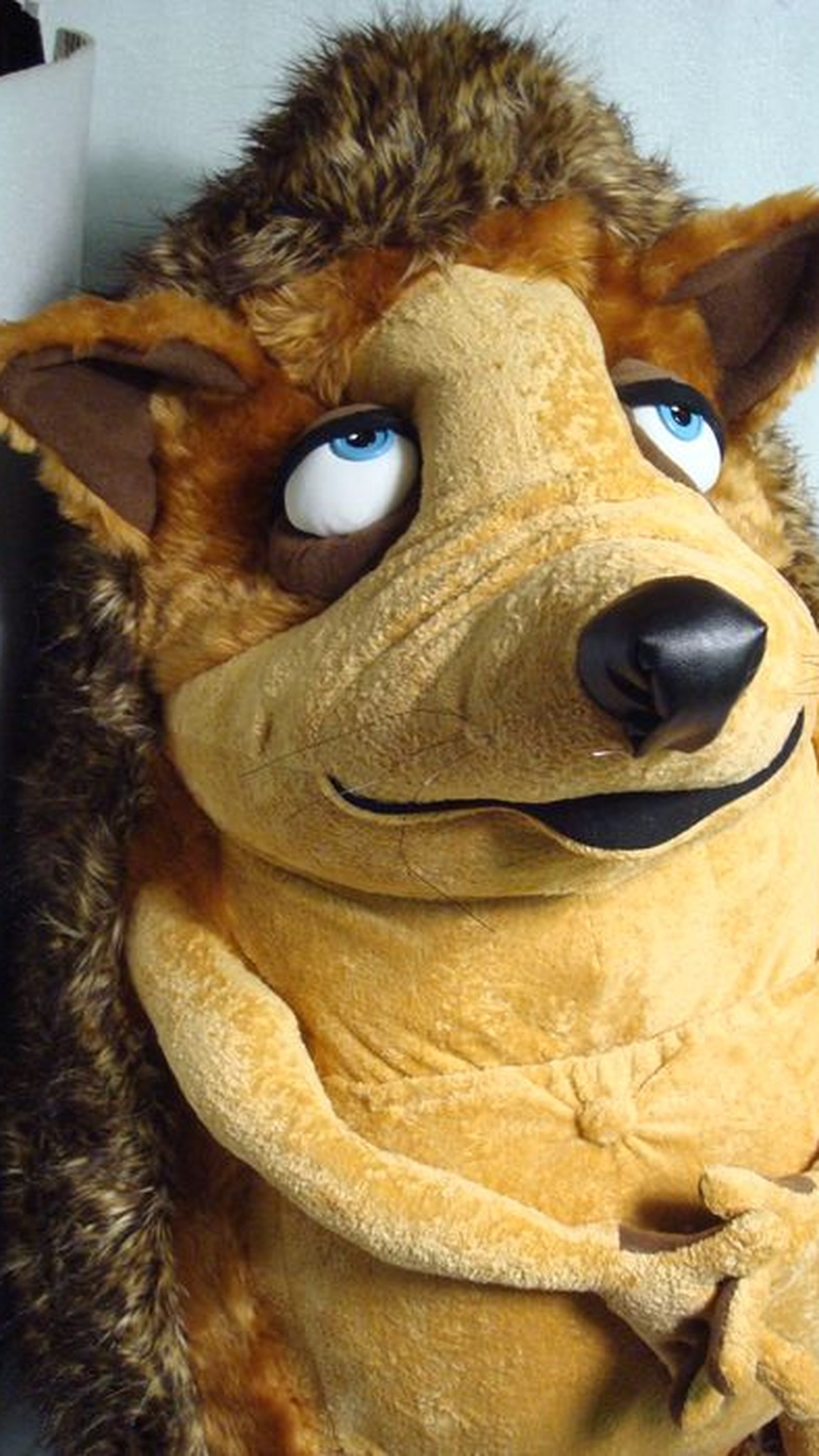 Custom giant hedgehog plush, handmade to order: blue eyes rolled up, black nose and a wrinkled golden snout