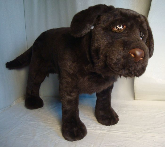 Custom chocolate Labrador plush Custom Labrador plush made to order from a family pet: chocolate faux fur, glass eyes, brown nose, big paws