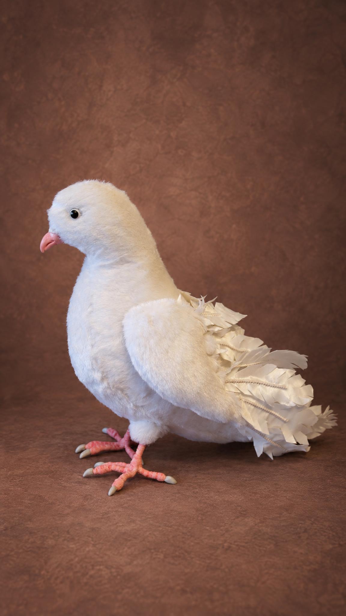 Realistic pigeon plush, a white dove of peace with a round chest and fanned fabric tail, handmade to order