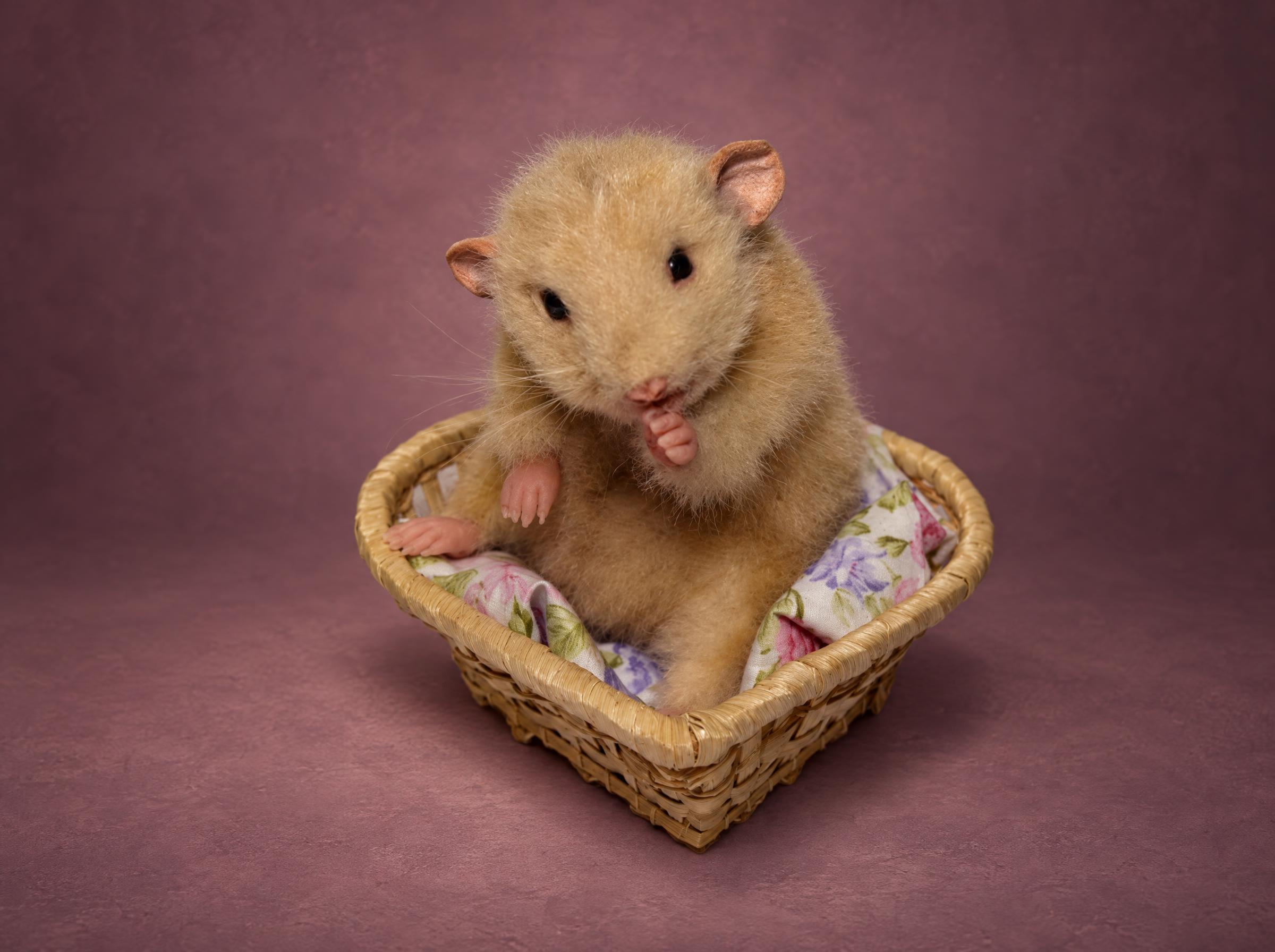Custom rat plush, beige pet rat handmade to order Custom rat plush of a chubby beige pet rat with pink paws, handmade to order, sitting in a wicker basket