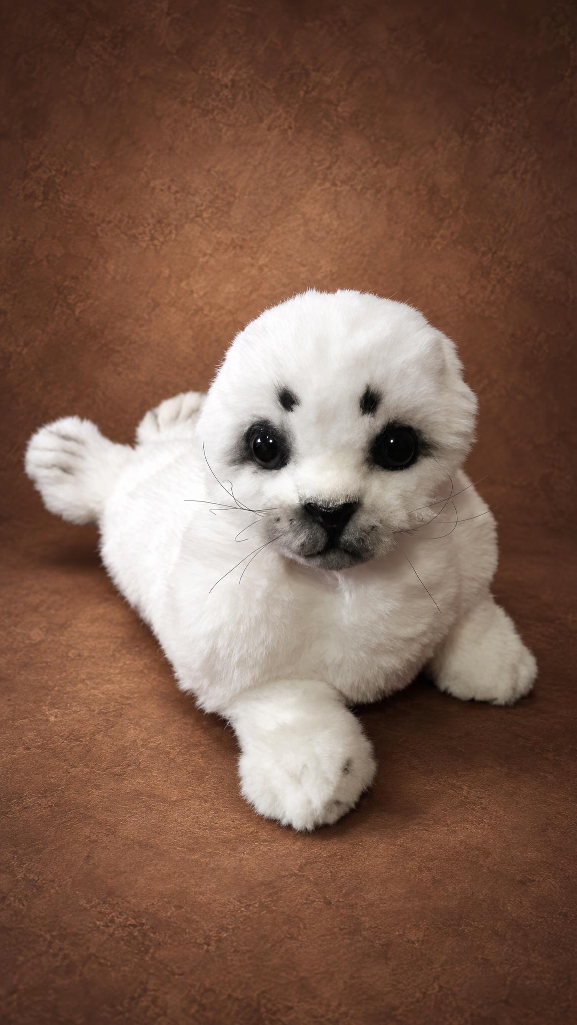 Custom seal plush, a white harp seal pup look with grey muzzle and dark eye patches, sewn by hand to order