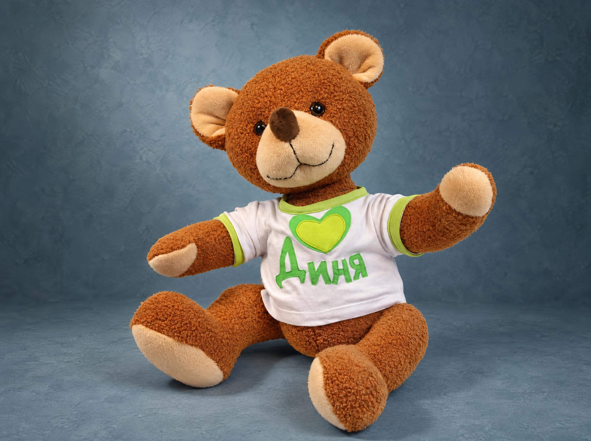 Custom teddy bear from photos of a lost toy, brown curly faux fur and a white name T-shirt, handmade to order