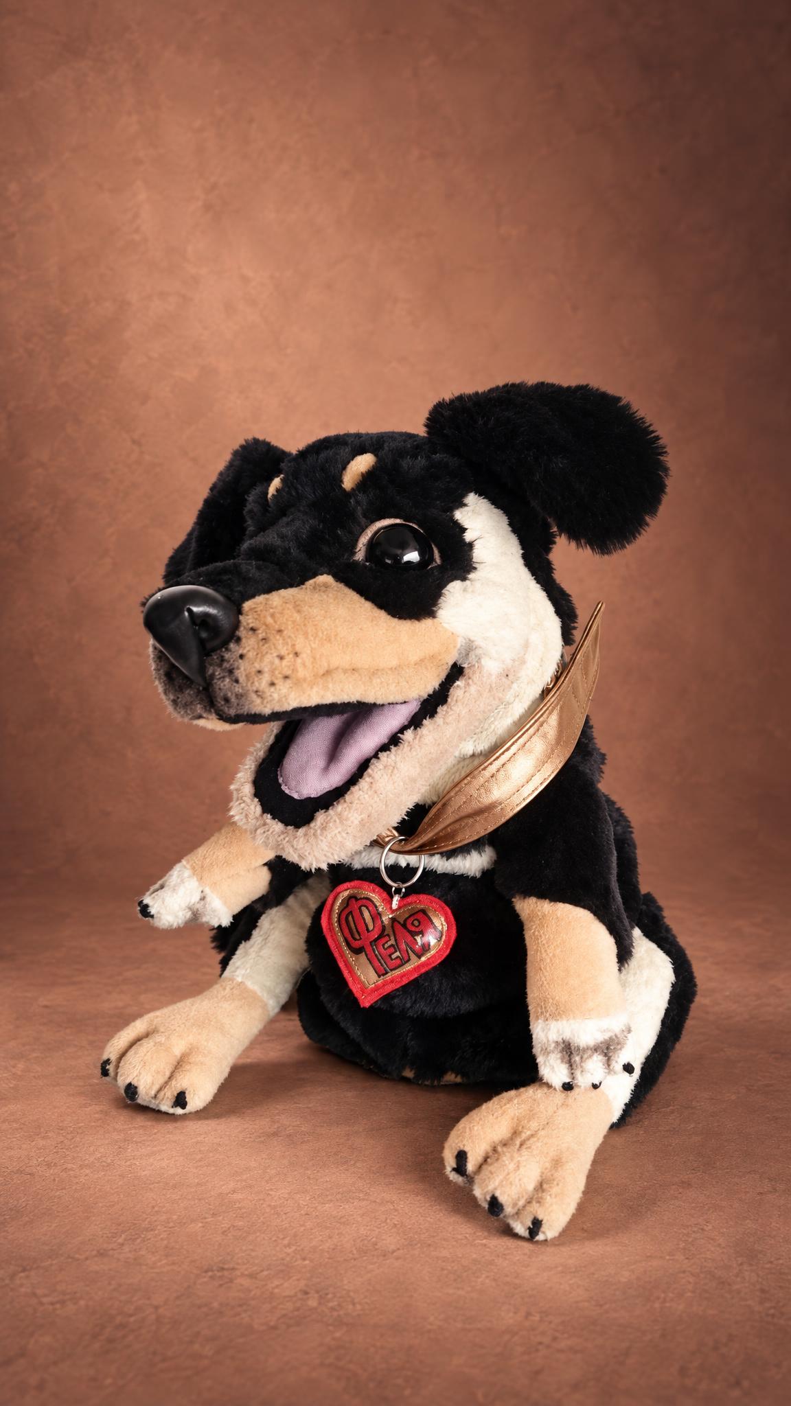 Handmade dachshund puppet plush of a real dog, sewn to order with a pink tongue, tan paws and a red heart tag