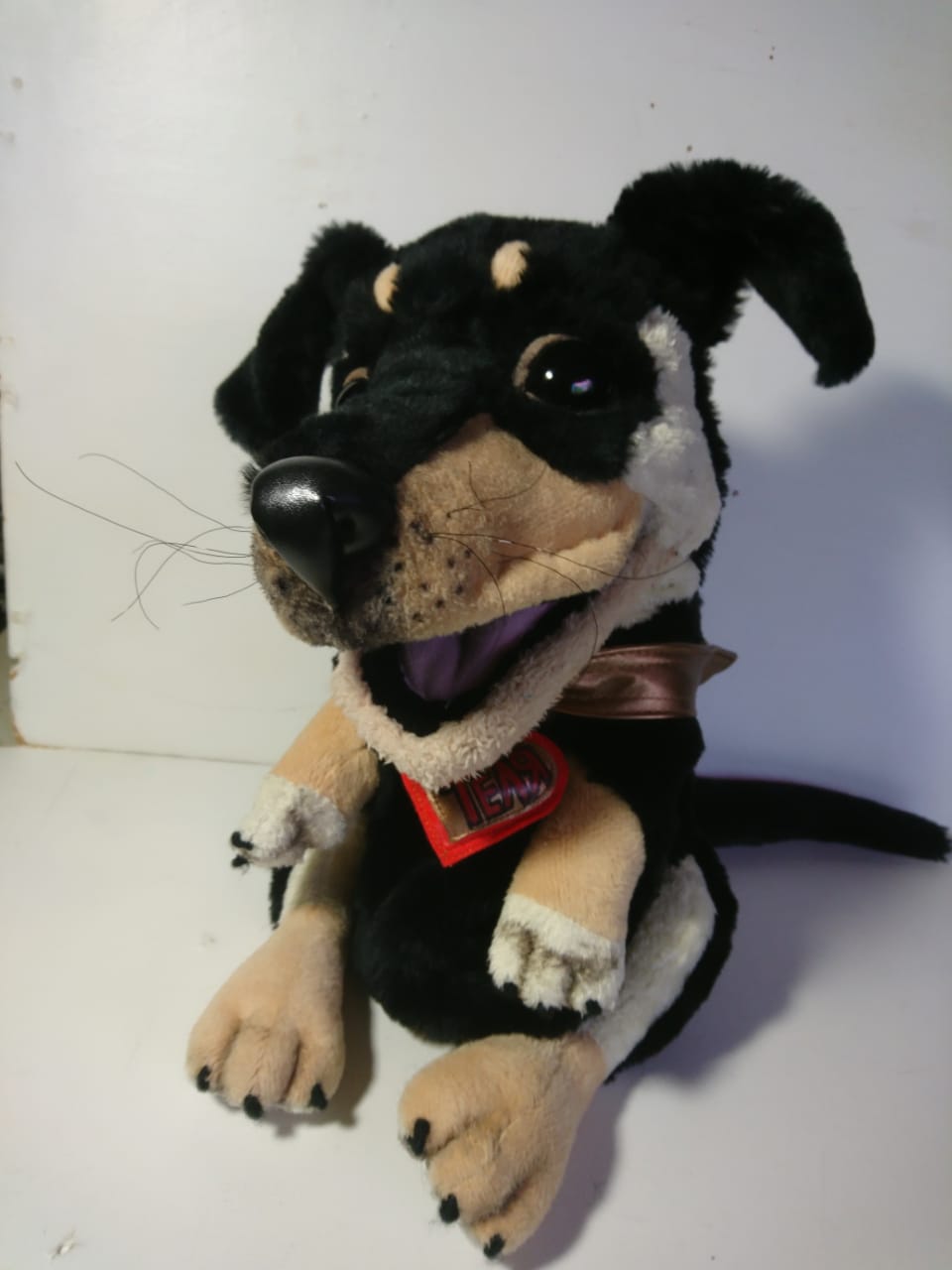 Dachshund plush replica of a real dog Dachshund plush replica of a real dog with whiskers and a pink tongue, a custom doxie puppet sewn to order