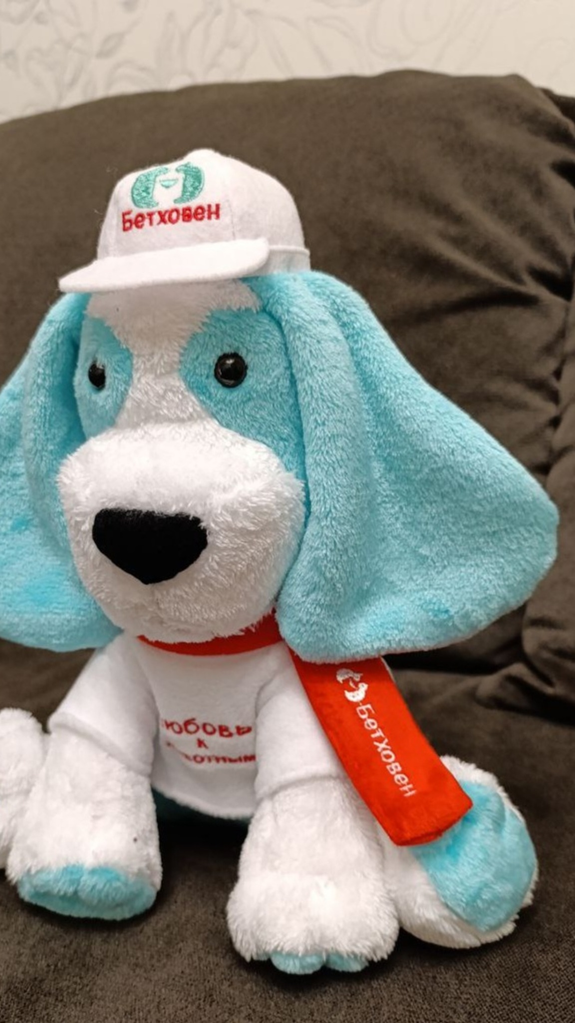 Pet store dog mascot plush in a logo cap and slogan T-shirt, turquoise ears and paws, handmade to order