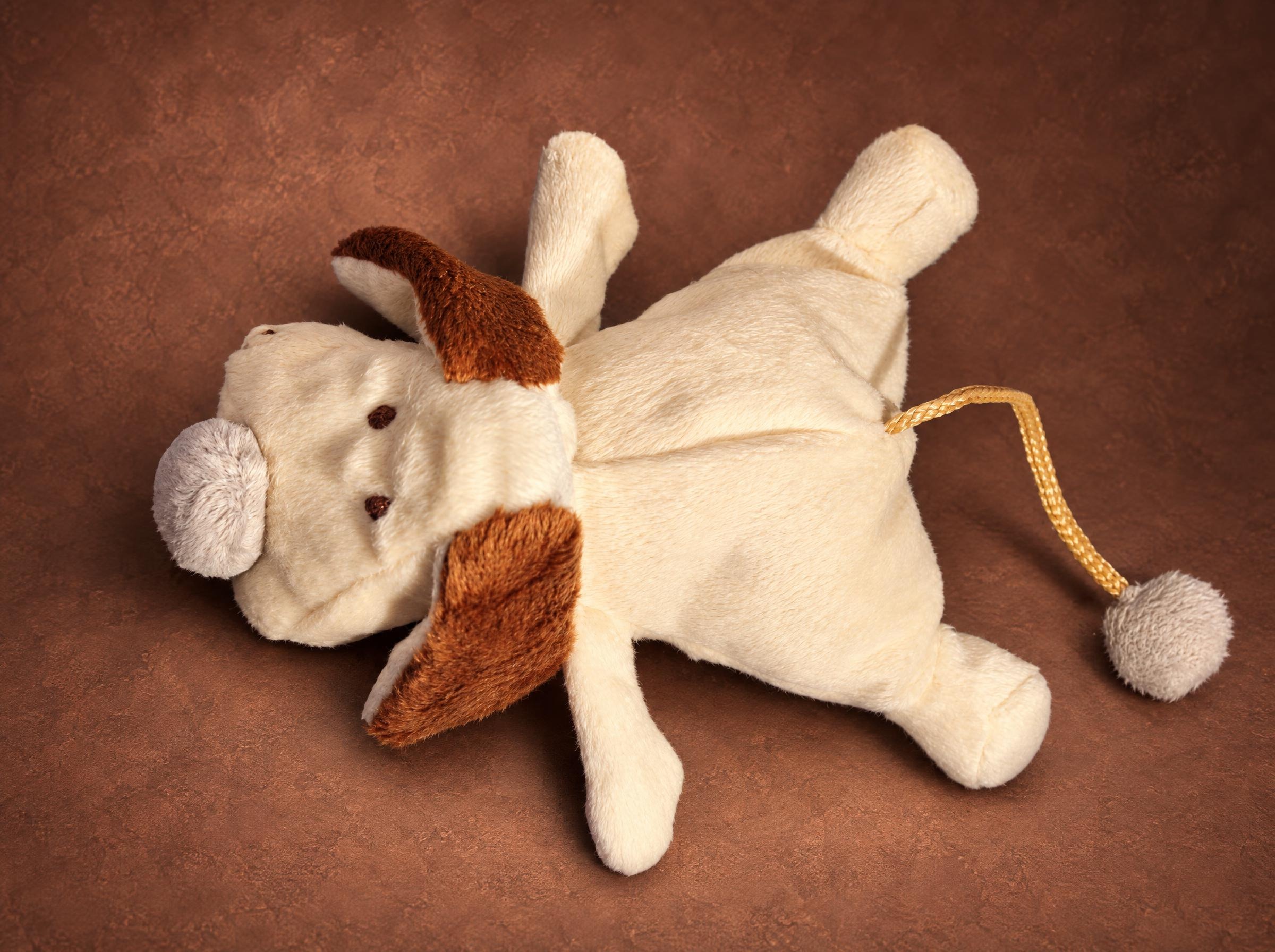 Duplicate stuffed animal: cream dog plush with brown floppy ears and pompom tail, a smaller copy made to order