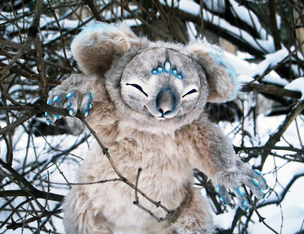 Fantasy koala plush with frosty blue ears Fantasy koala plush with frosty blue ear tips and turquoise claws reaching through winter branches
