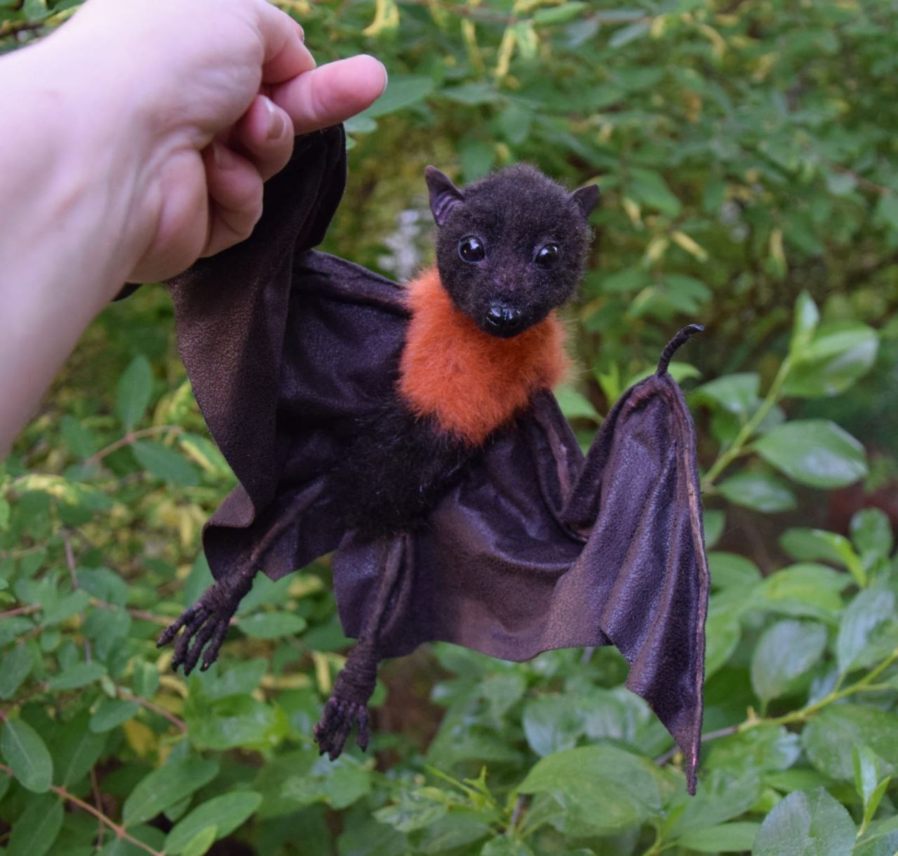 Fruit bat plush with open wings Fruit bat plush with wings spread wide, black faux fur and orange collar, a custom bat toy sewn by hand to order
