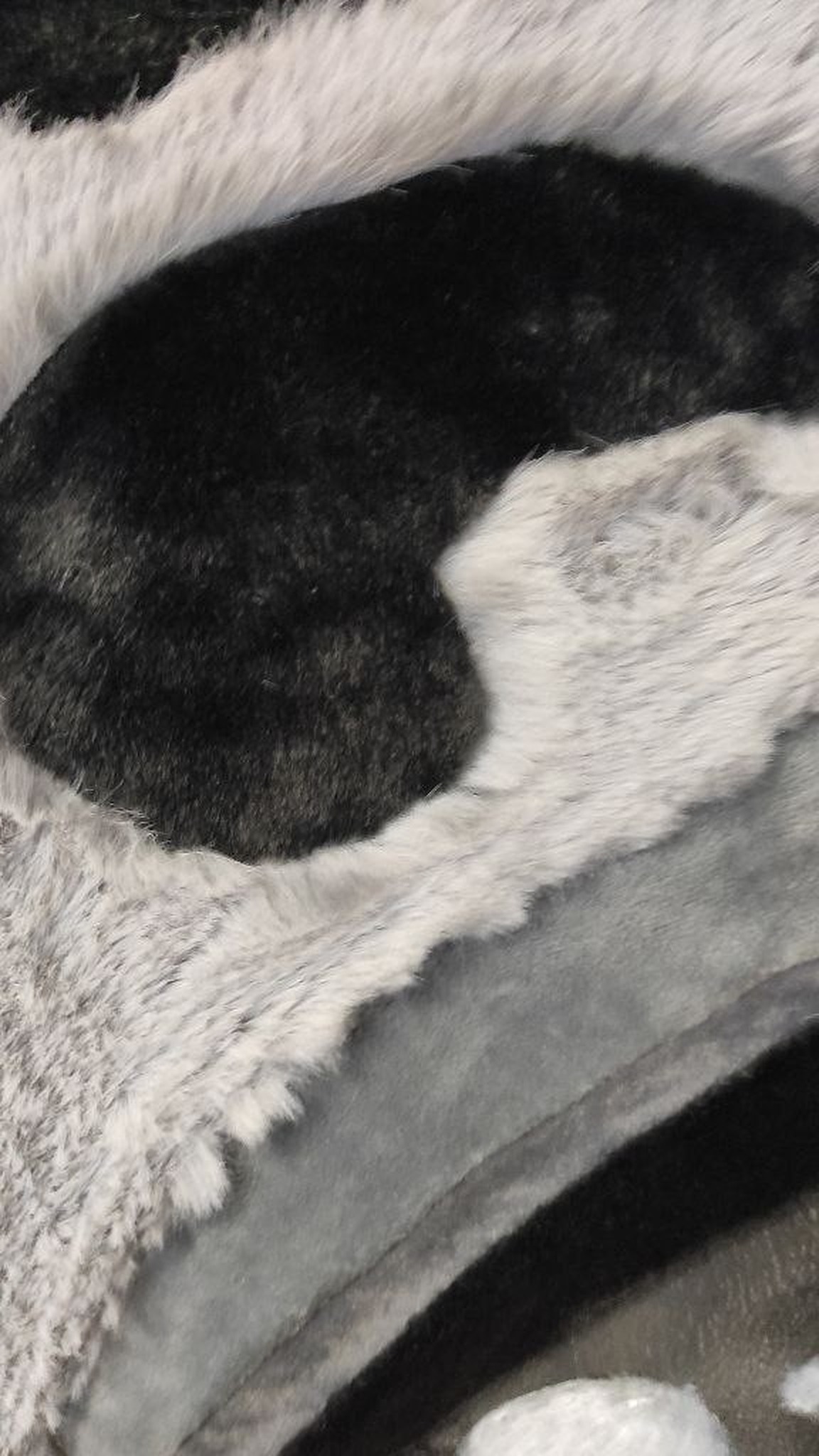 Black faux fur forehead pattern set into light-grey faux fur on the giant anime fox head plush, made to order