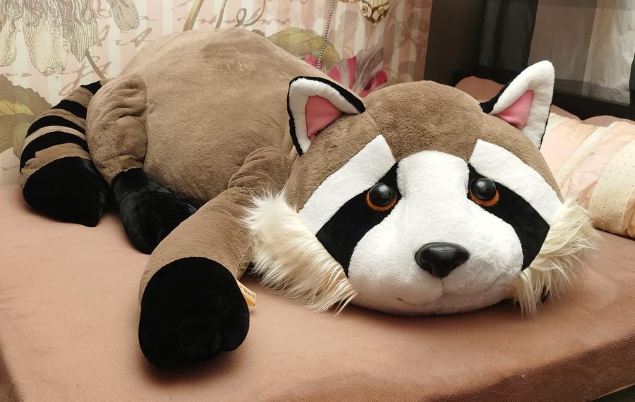 Giant raccoon plush with ringed tail and name tag Giant raccoon plush stretched across a bed, ringed tail and a name tag on the paw, custom made for a birthday