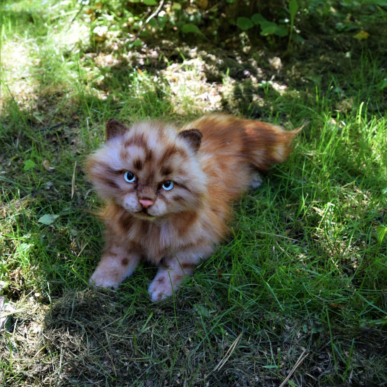 Ginger kitten plush lying on grass Ginger kitten plush lying on the grass, spotted faux fur and light blue eyes, handmade to order