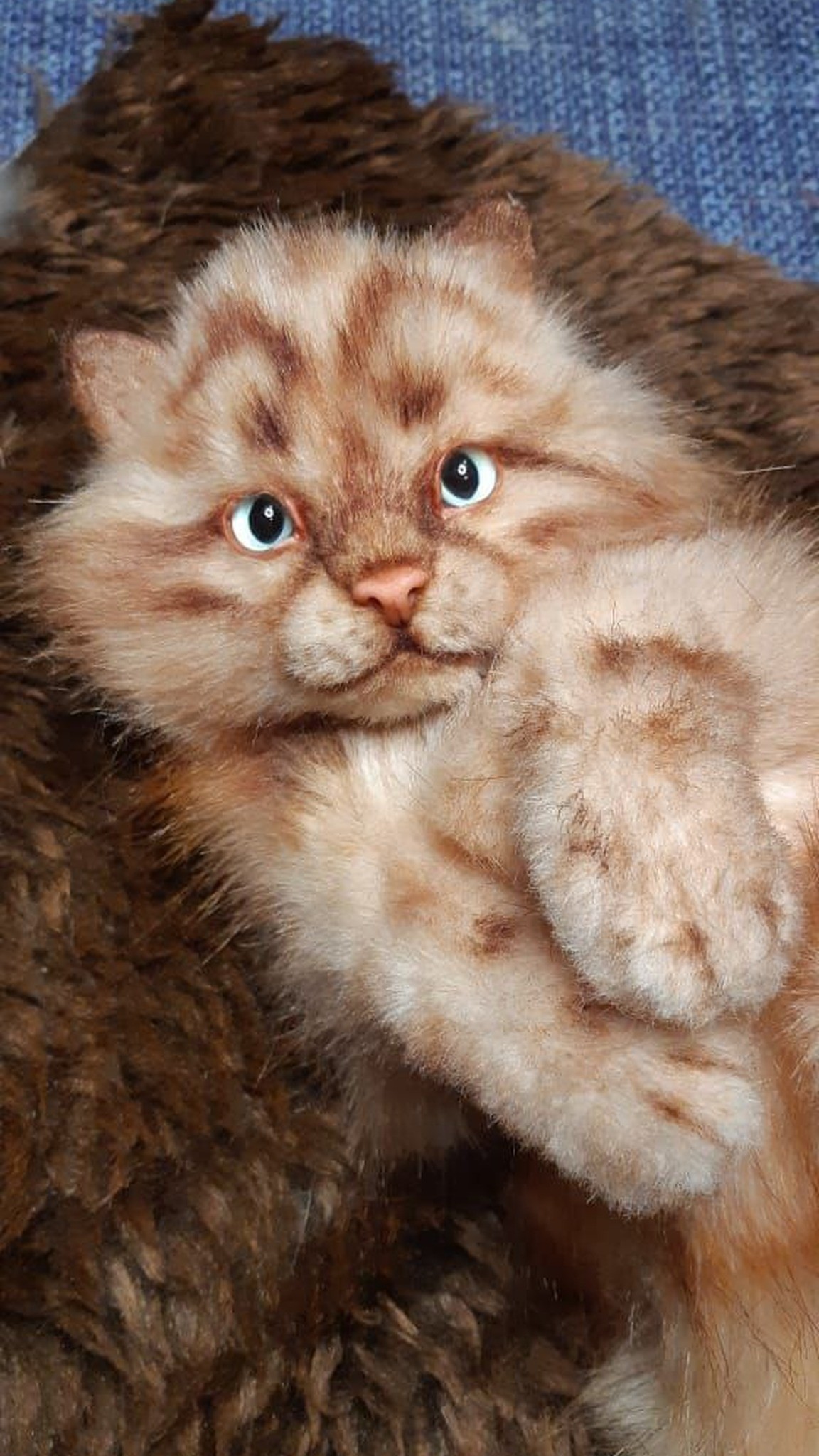 Ginger tabby kitten plush face with blue eyes, pink nose and spotted cheeks, handmade to order
