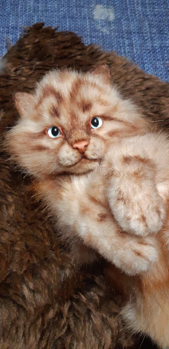 Ginger tabby kitten plush face Ginger tabby kitten plush face with blue eyes, pink nose and spotted cheeks, handmade to order