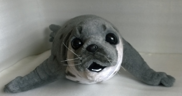 Grey spotted seal plush, 2016 Grey spotted seal plush with a white chin and open mouth, an earlier custom seal sewn from a picture in 2016