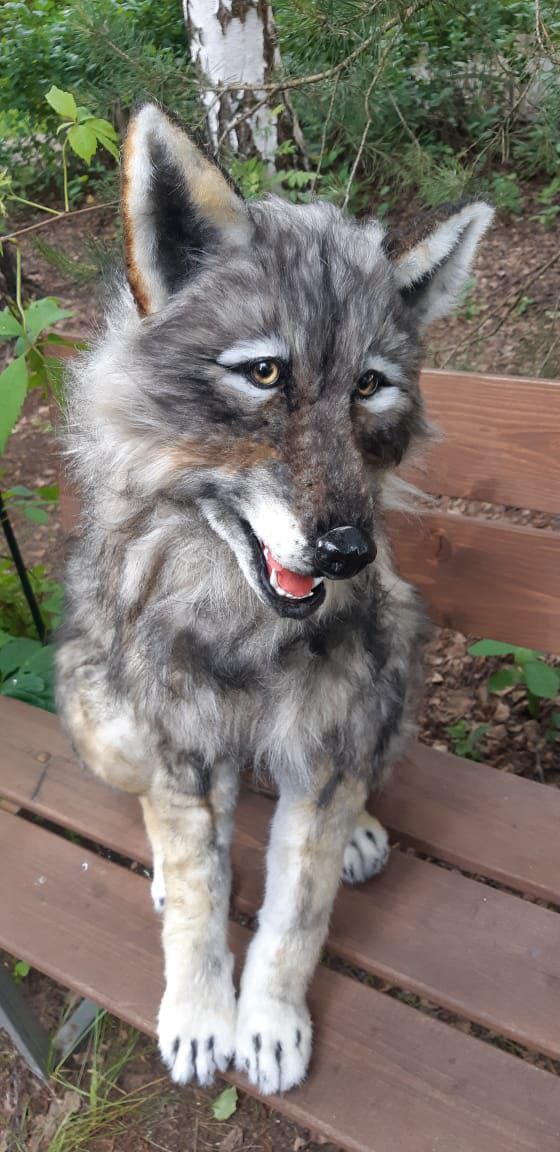 Grey wolf plush on a garden bench Grey wolf plush, realistic and handmade to order, on a garden bench: amber eyes, pink tongue, black nose