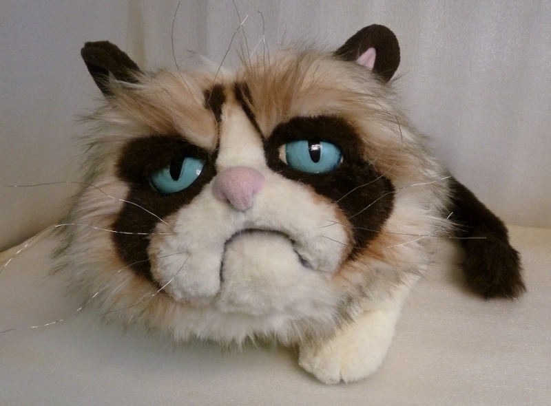 Grumpy Cat stuffed animal, 2014 Grumpy Cat stuffed animal with a dark mask, blue eyes and dark tail, lying down, faux fur meme cat made to order