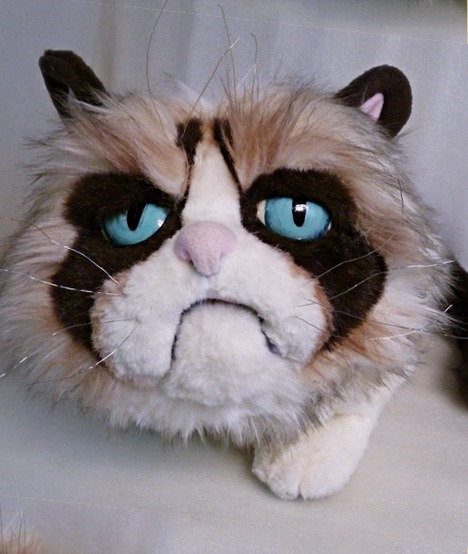 Grumpy Cat plush face Handmade Grumpy Cat plush face: blue eyes, pink nose, downturned mouth and dark brown mask in faux fur, custom