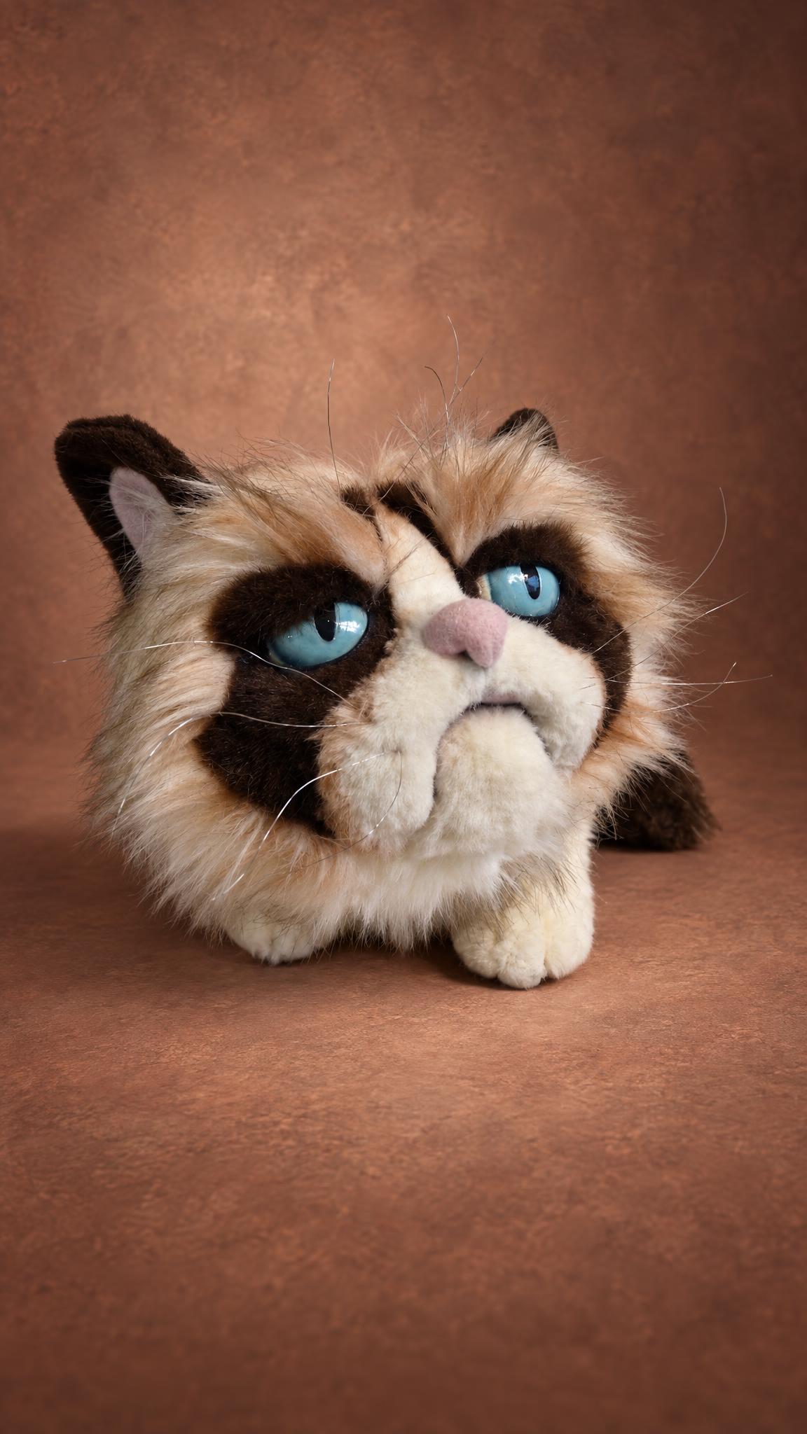 Custom Grumpy Cat plush with long whiskers, pink nose and a frown, the meme cat sewn by hand to order