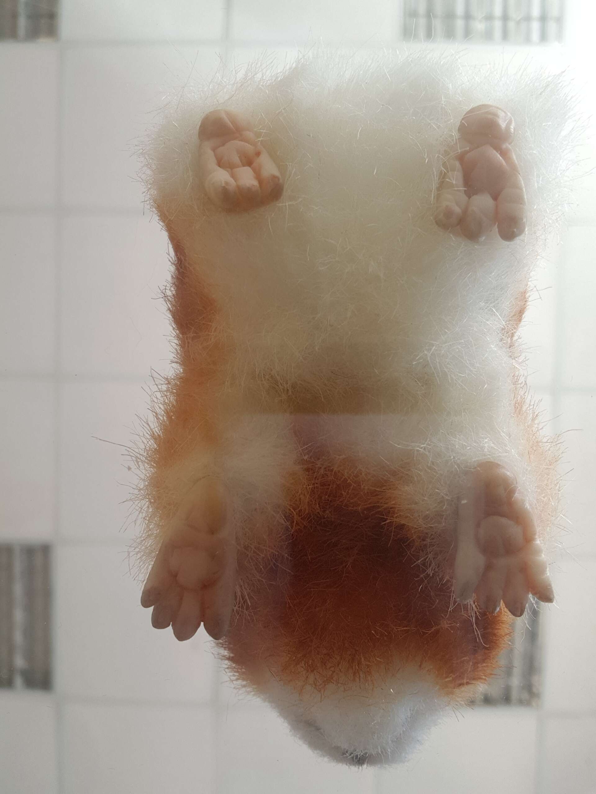 Realistic guinea pig plush belly and feet Realistic guinea pig plush belly in white faux fur with four sculpted pink feet, handmade to order