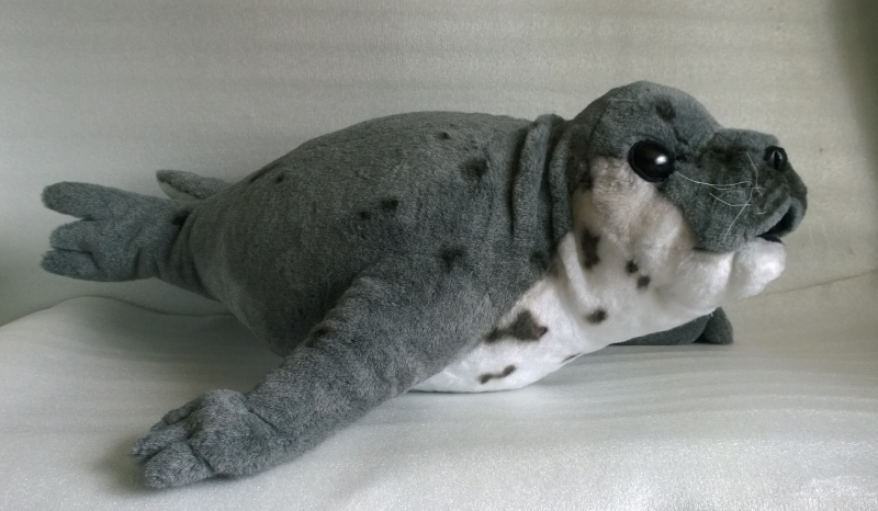 Large grey seal plush Large grey seal plush lying flat, spotted coat, white throat and rear flippers, custom seal sewn to order