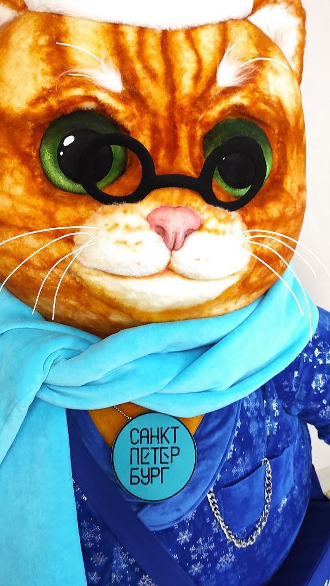 Learned cat plush face: green felt eyes painted with acrylics, round black glasses, ginger tabby stripes