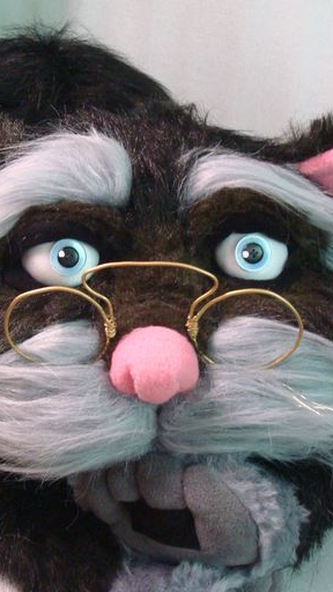 Learned cat plush in wire glasses with a grey Velcro paw by his beard, custom black cat handmade to order