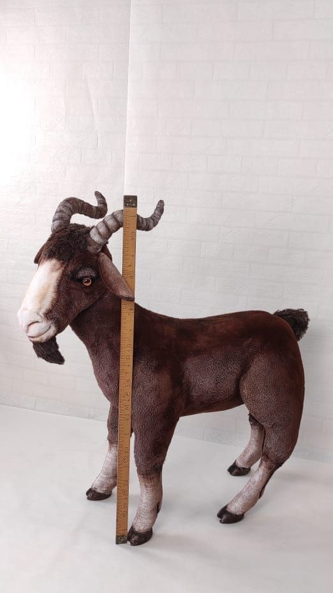Life size goat plush beside a one-meter ruler that reaches his horn tips, handmade to order