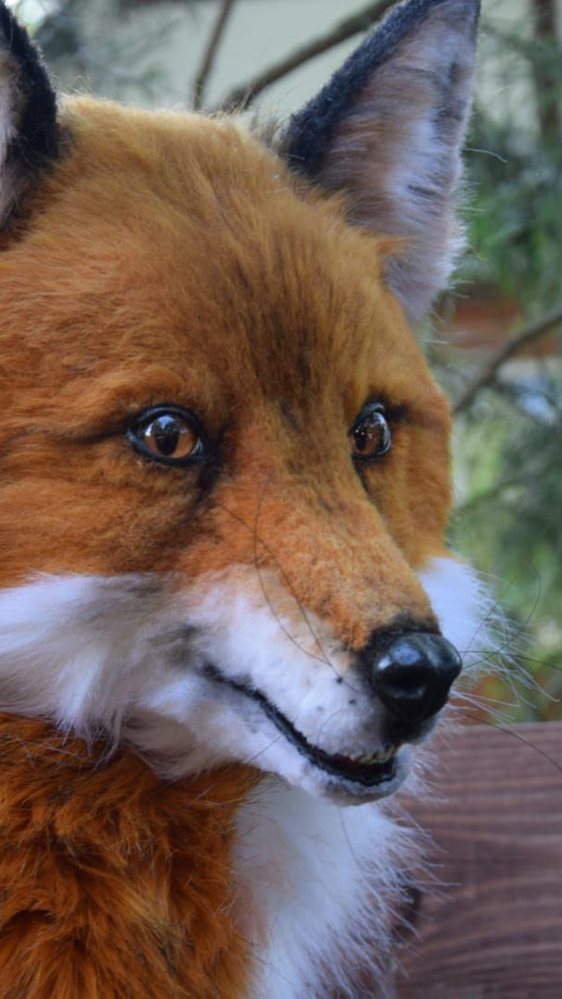 Lifelike fox plush sewn by hand to order: pointed muzzle, white cheeks, dark whiskers, ginger faux fur coat
