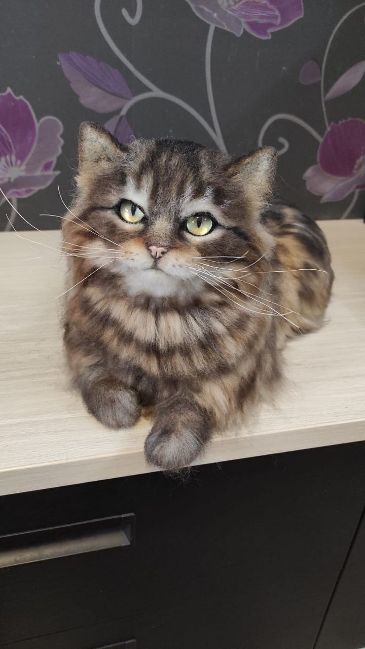 Long-haired tabby cat plush, paw over the edge Long-haired tabby cat plush with amber eyes, one paw over the edge, handmade from wool to order