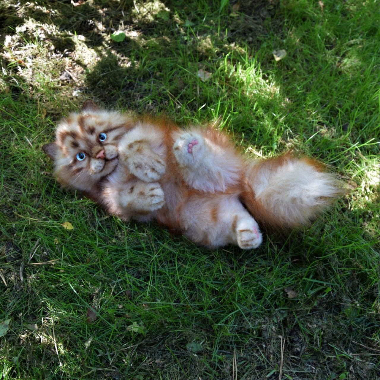 Orange kitten plush belly-up Orange kitten plush rolling belly-up with pink toe pads and a bushy tail, sewn by hand to order